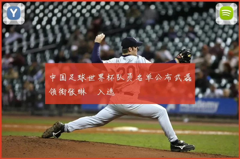 中国足球世界杯队员名单公布武磊领衔张琳芃入选