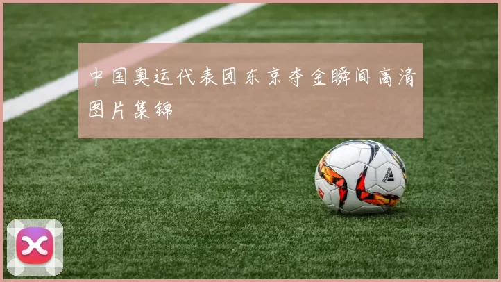 中国奥运代表团东京夺金瞬间高清图片集锦