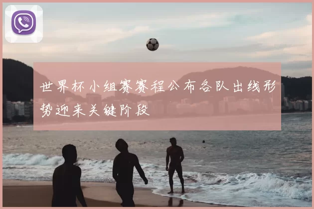 世界杯小组赛赛程公布各队出线形势迎来关键阶段