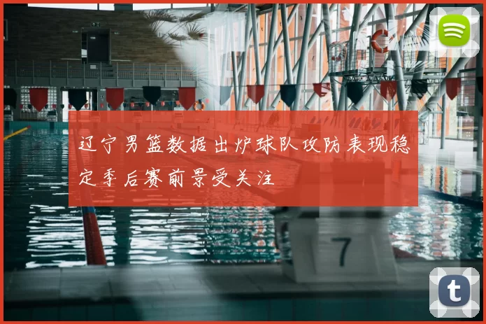 辽宁男篮数据出炉球队攻防表现稳定季后赛前景受关注