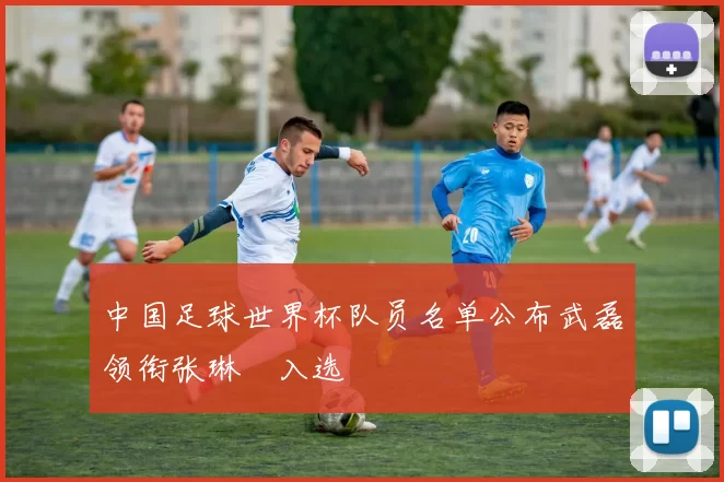 中国足球世界杯队员名单公布武磊领衔张琳芃入选